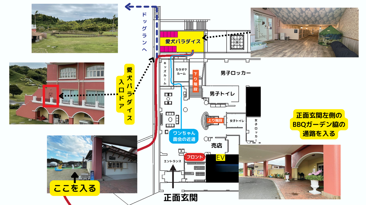 愛犬パラダイスへのルートマップ